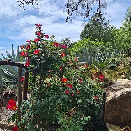 Casa Merea 16 Holiday home *
