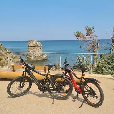 Casa Merea 16 Hébergement de vacances *