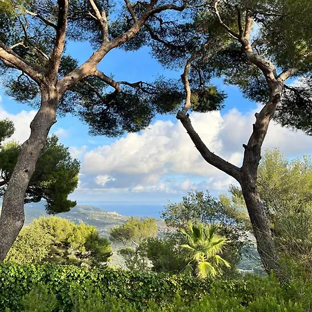 Casa Merea 16 Hébergement de vacances