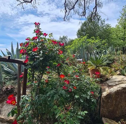 Casa Merea 16 Сasa de vacaciones *